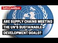 Are Supply Chains Meeting the UN’s Sustainable Development Goals?