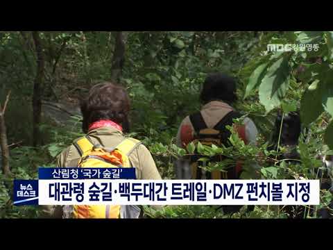 [단신] 대관령 숲길 등 도내 3곳, 국가 숲길 지정 210430