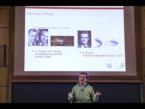 UNDERSTANDING CELL PHYSICS THROUGH ACTIVE MATTER
