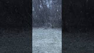 CINCINNATI MORNING SNOW! ❄️From Spring To Winter In 24 Hours!(Thursday February 26 2026) #Cincinnati