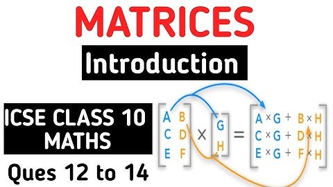 Matrices Class 10 ICSE | Ex 8.3 Q.No 12 & 14 ICSE Class 10 Matrices M L Aggarwal | ICSE Class 10