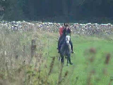 Mad Gallop