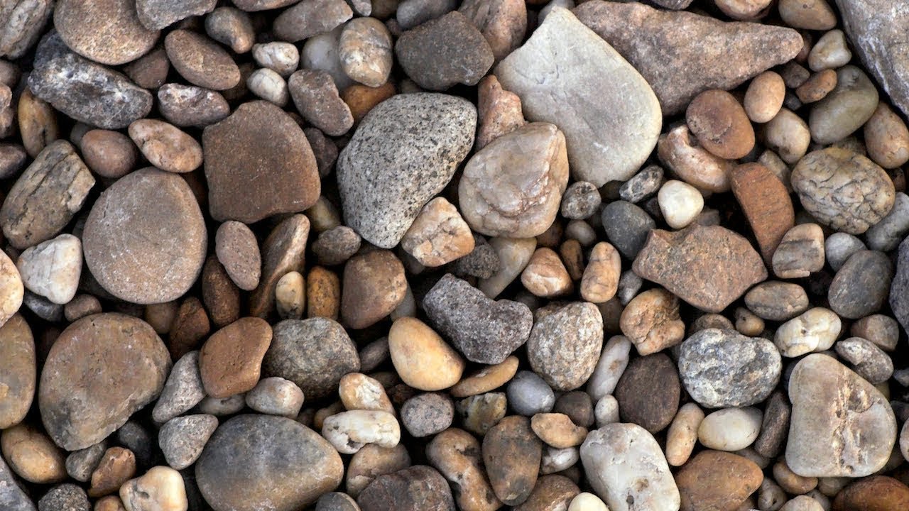 rockstar adventure race School Gives Classes Buckets Of Rocks To Fight Off Shooters