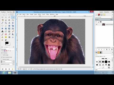 How to Erase to Transparency in GIMP