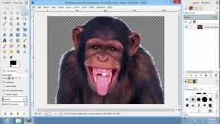 How to Erase to Transparency in GIMP