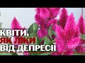 Дружина захисника "Азовсталі" відкрила квітковий магазин у Львові