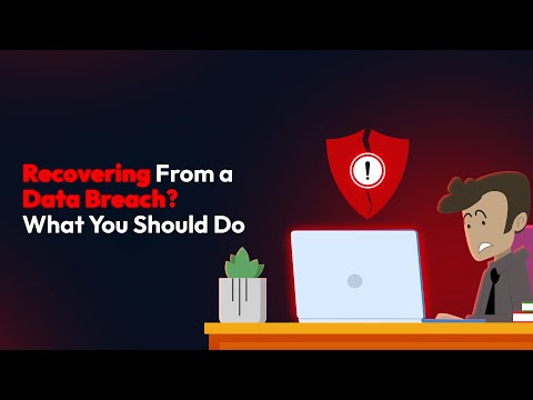 The Hoesluvkinz Data Breach: What You Should Do Immediately