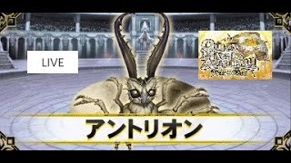 【QMA】　マジックコロシアム(アントリオン)