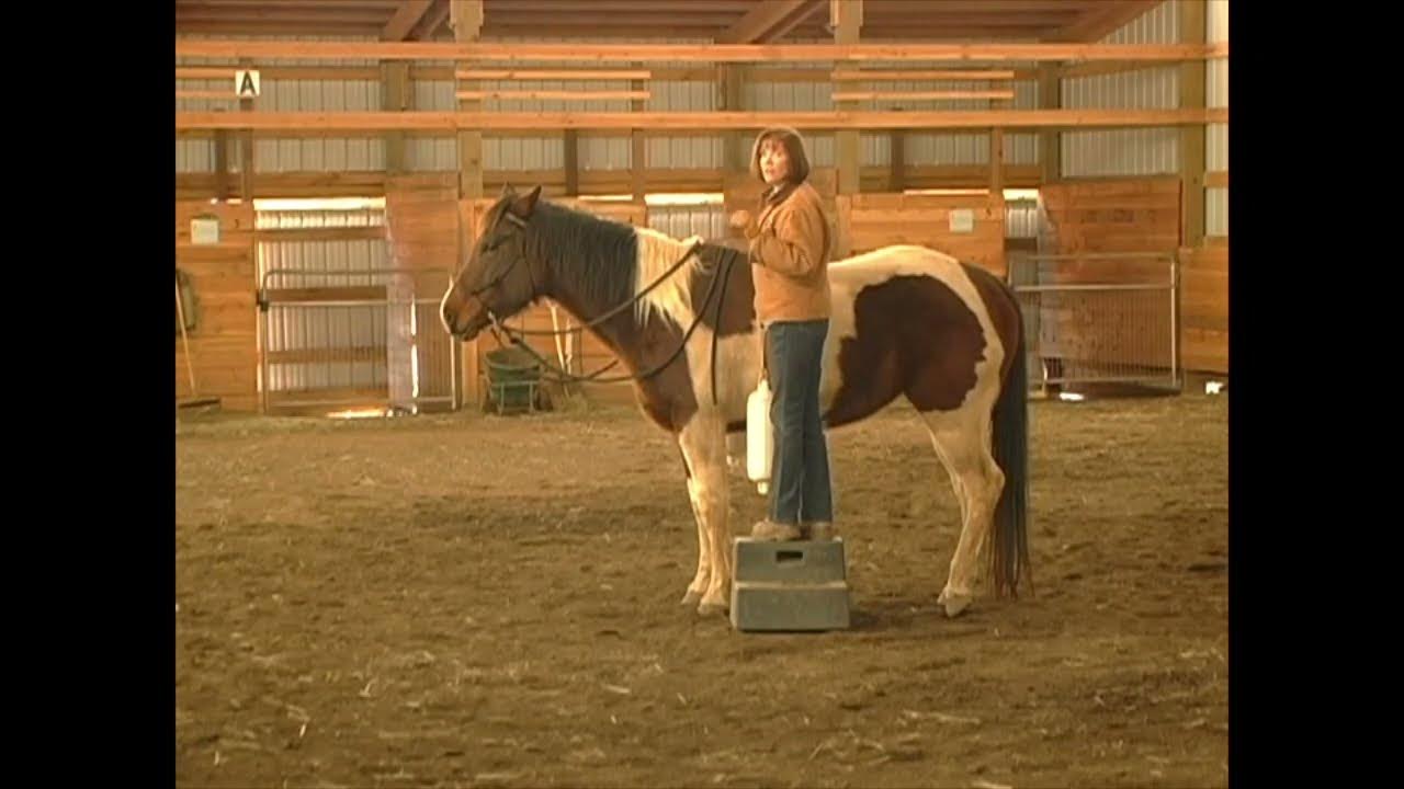 Mounting & Dismounting a Horse is YOUR Most VULNERABLE Position YouTube