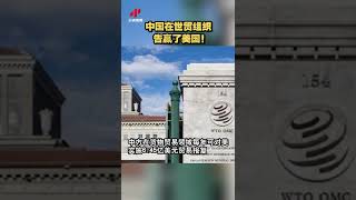 中国在世贸组织告赢了美国！20220127 | CCTV中文国际 #shorts