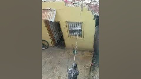 Yon ayisyen yal arete yo pa ka aretel ,yo tire sou li pa pran nan bal, ann gad kòman sa te ye.