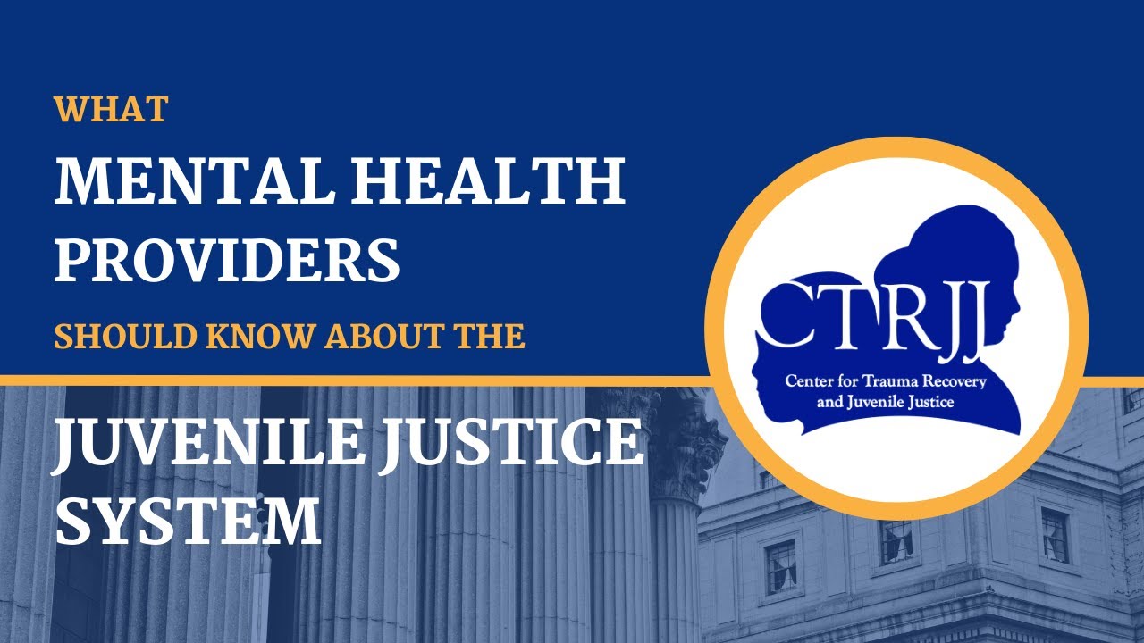 Resource Guide for Mental Health Professionals on the Juvenile Justice ...