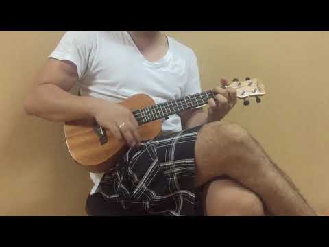 Kaka KUT-25e Demo