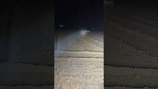 Lion Caught Roaming Farm Field at Night