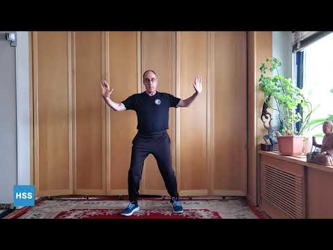 Video thumbnail for “T'ai Chi for Arthritis: Movements for Beginners” by Hospital for Special Surgery
