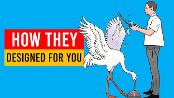 How The System Keeps You Poor