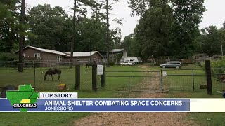 Animal shelter stuggles with space after rescuing multiple animals from home