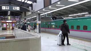 E5系U21編成 東北新幹線 なすの261号 入線 東京駅