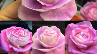 Розы из холодного фарфора/ мастер класс