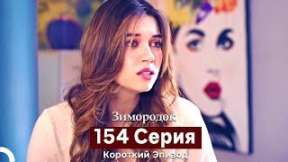 Зимородок 154 Cерия (Короткий Эпизод) (Русский Дубляж)