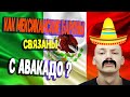 5 ФАКТОВ О МЕКСИКЕ ! МЕКСИКАНЦЫ НЕ ТАКИЕ КАК ТЫ ДУМАЛ ! FUCKты #мексика #мехико #страна #путешествие