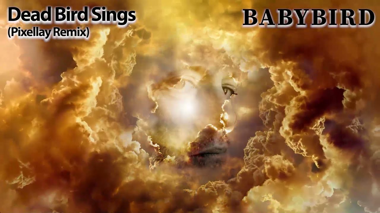 YouTubeでBabybird - Dead Bird Sings (Pixellay Remix)を視聴