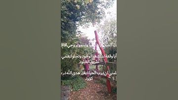 تلاوة مميزة عذبة للشيخ سلمان العتيبي