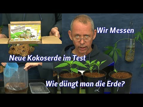 Video: Kokostorf für Pflanzen verwenden – Die Vor- und Nachteile von Kokostorferde