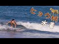 ヒョウ柄の👙でサーフィン