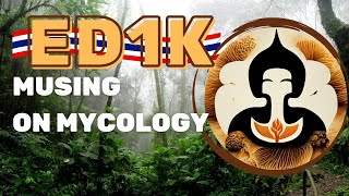 A MycoGeeky Classic: The Origins of a Longstanding Collaboration 🍄 ✨The MycoGeeky Podcast