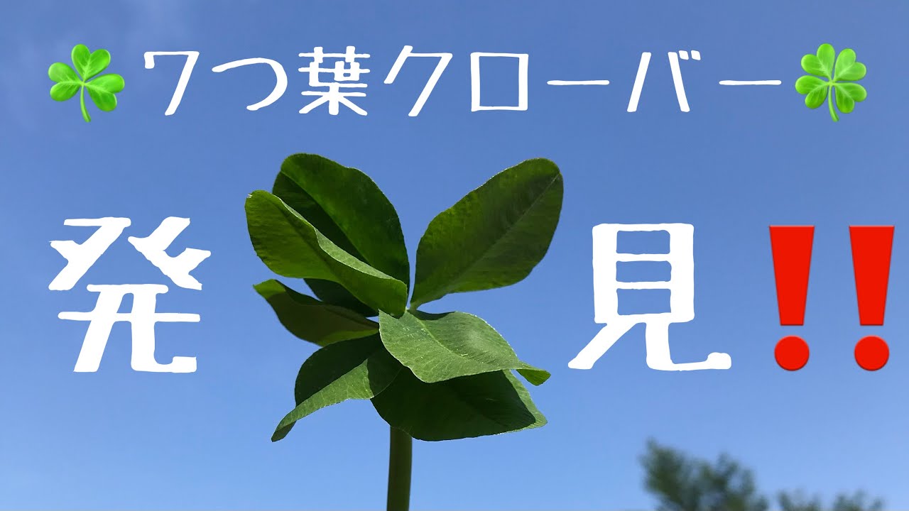 わけもなく好きなこと 下関セラピストおりひめかおるのブログ わけもなく好きなこと 下関セラピストおりひめかおるのブログ