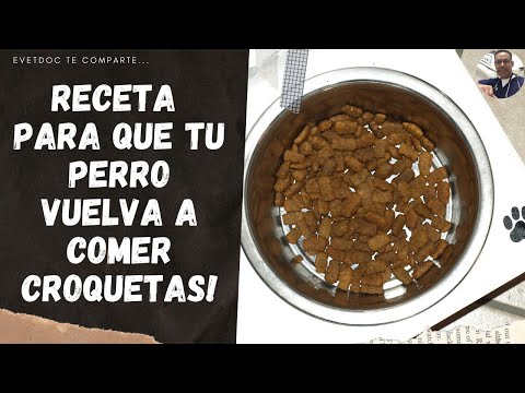 Video: Cómo hacer un cachorro comer comida nueva