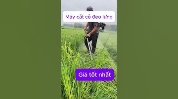 Máy cắt cỏ đeo lưng, giá tốt