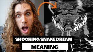 Unveiling Snake Dreams: Decoding the Misunderstood Sign