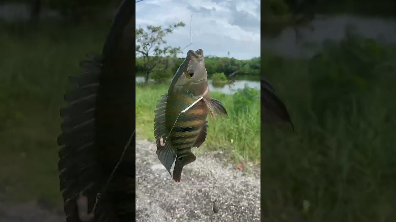 Fishing Spot! Villamar Beach Resort located at Noveleta, Cavite