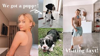 WEEKLY VLOG! We got a puppy, Visiting the Fayt store + Beach trip! @AmyLauren