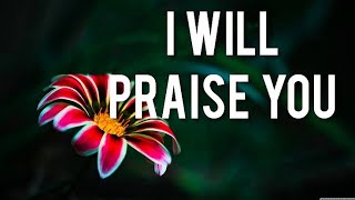 I  Will Praise You - Hillsong Worship | Lyrics