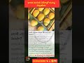#IndianMango #MangoExport #AgriBusiness #FruitExport #IndiaTrade #MangoSeason #APMango #Alphonso