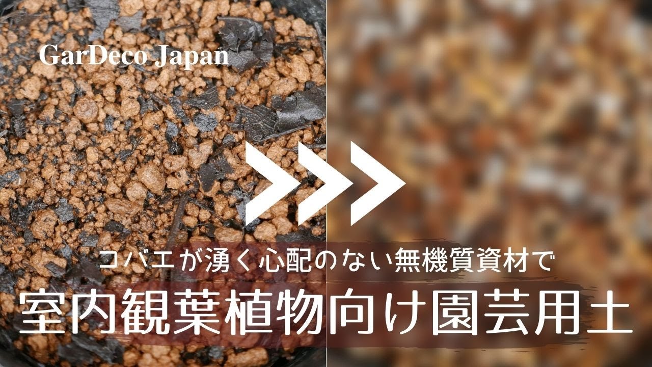 コバエにお悩みの方必見 室内の観葉植物向け園芸用土の作り方 Youtube