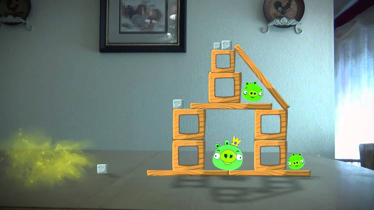 Real Life Angry Birds