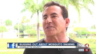Mosquito problems plague Charlotte County