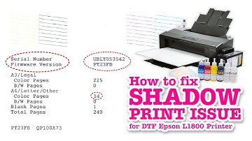 How To FIX Shadow Print Issue for DTF Epson L1800 Printer