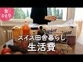 【スイスの生活費】田舎にひとり暮らし・1ヶ月間の費用を公開【海外生活】