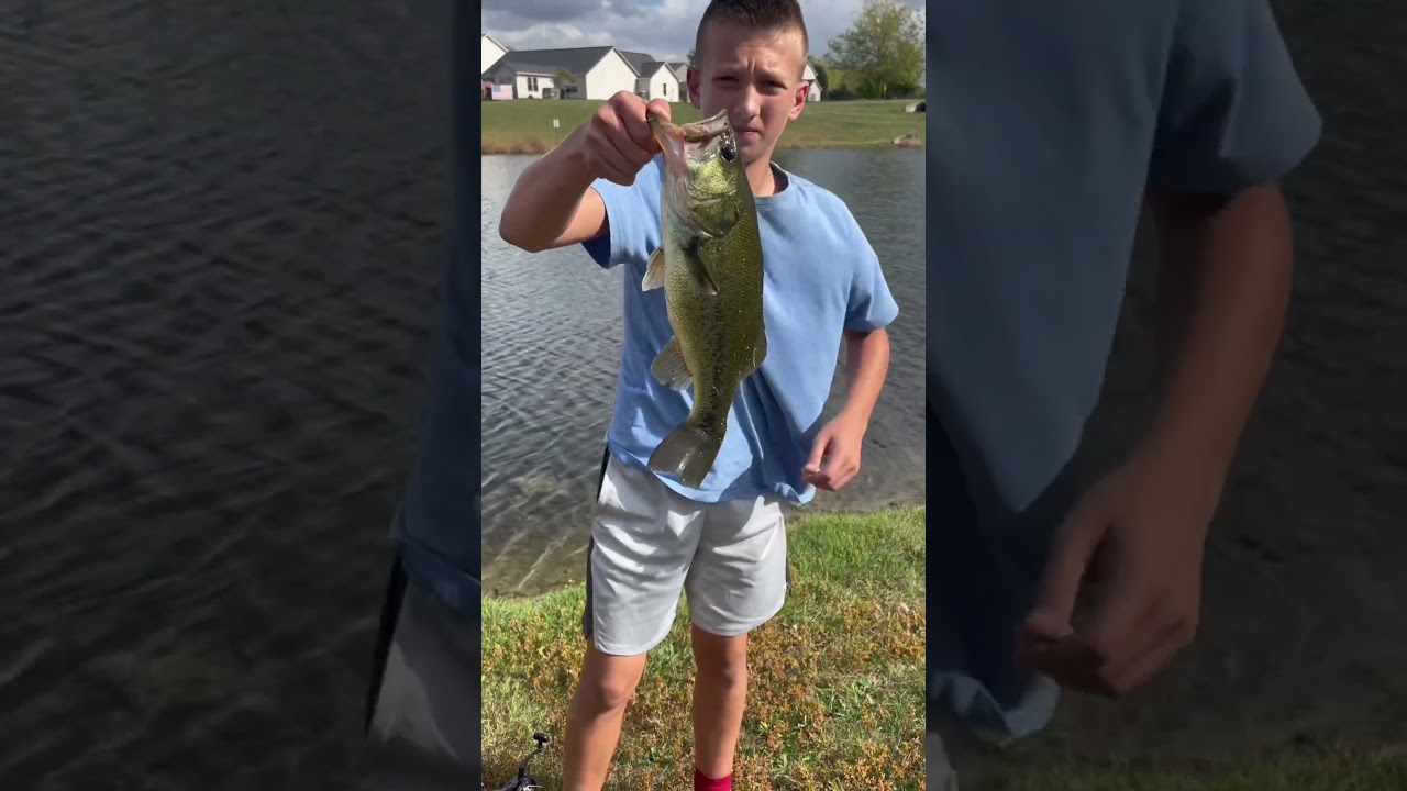 Big bite one spinner bait 