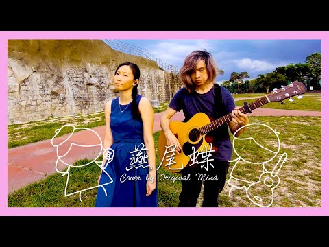 【Original Mind Cover】｜燕尾蝶-Shine