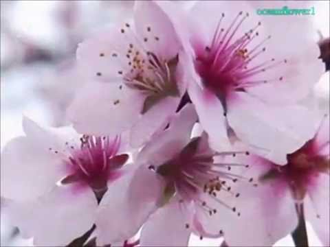 ზამთარს გაგიაპრილებ