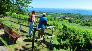 Walk in Oberteuringen