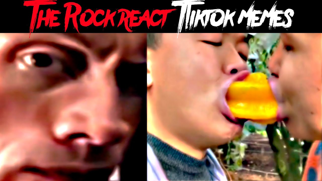 free video the rock meme｜TikTok Search