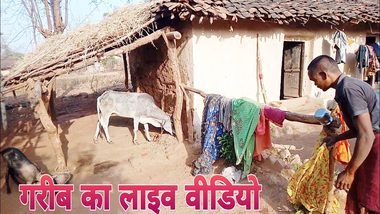 Indian village daily launch routine village Lifestyle blog 2021