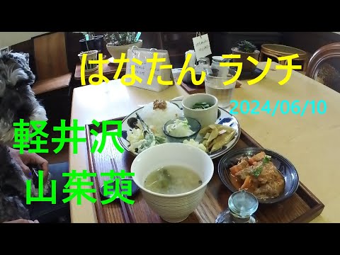 軽井沢 山茱萸、ワンちゃん店内OK